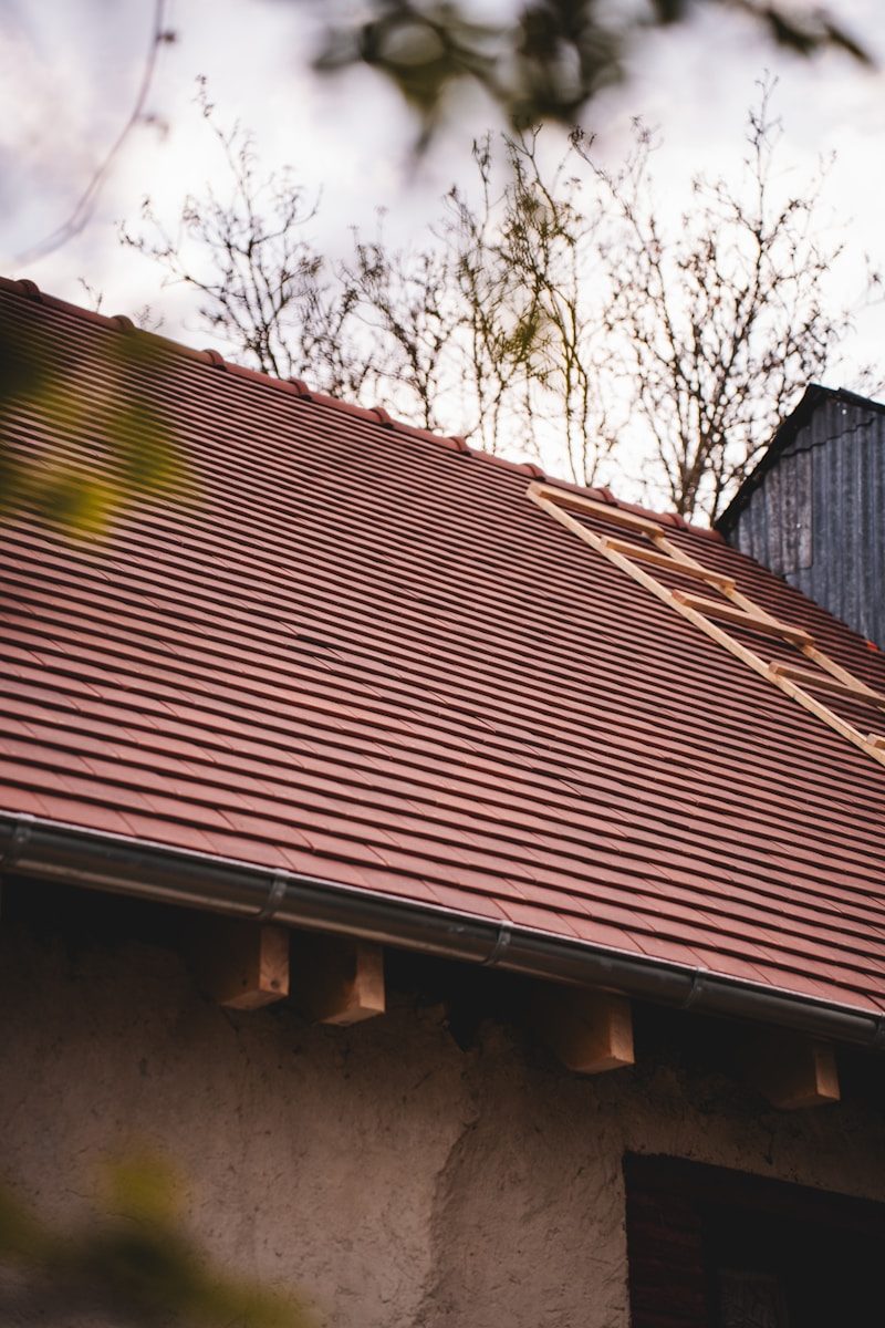 Photo by clement proust A red tiled roof with a ladder.